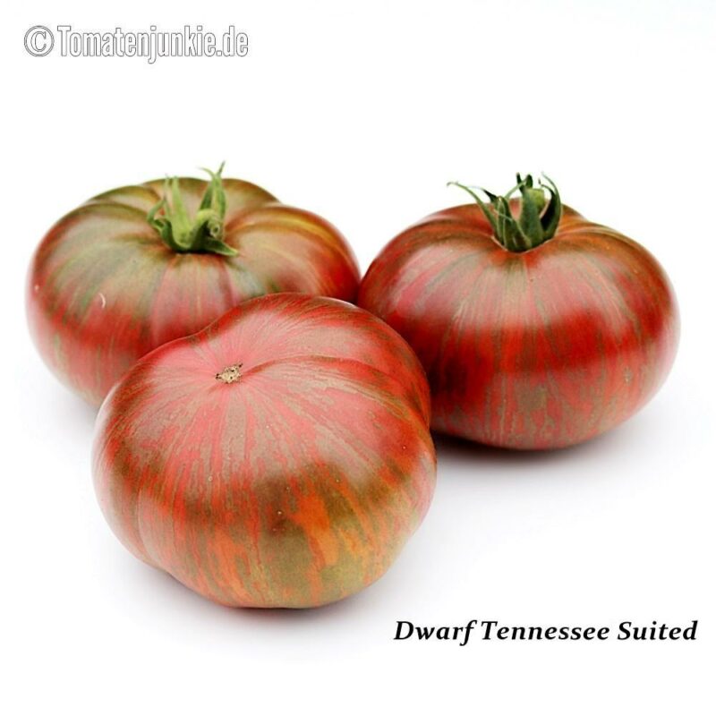 Tomatensorte Dwarf Tennessee Suited