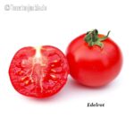 Tomatensorte Edelrot