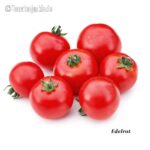 Tomatensorte Edelrot