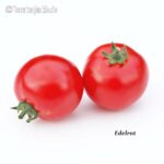 Tomatensorte Edelrot