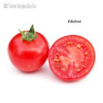 Tomatensorte Edelrot