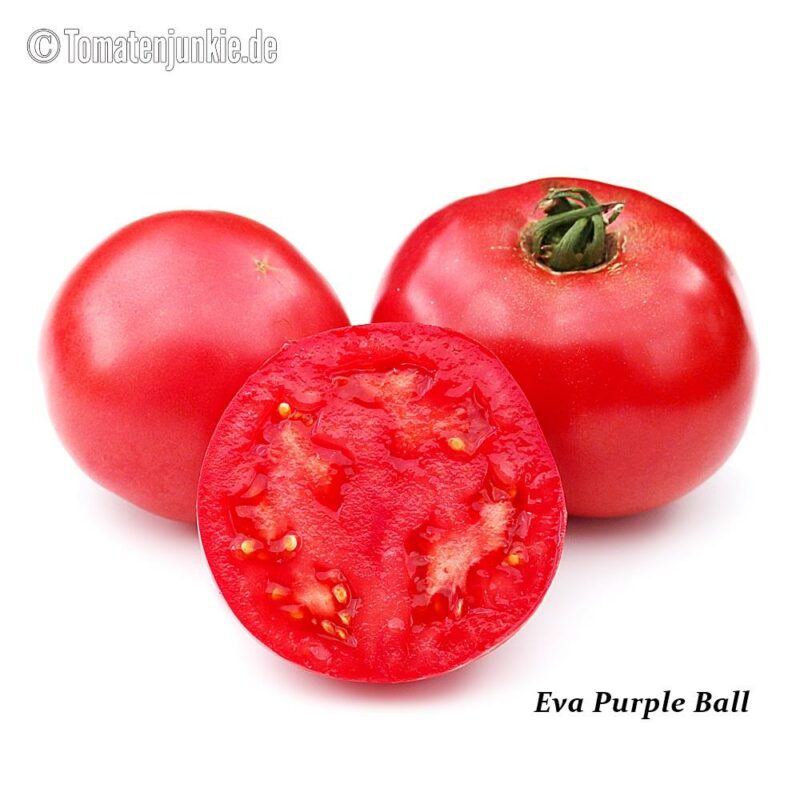 Tomatensorte Eva Purple Ball