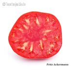 Tomatensorte Fritz Ackermann