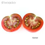 Tomatensorte Garnet