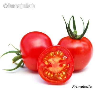 Tomatensorte Primabella