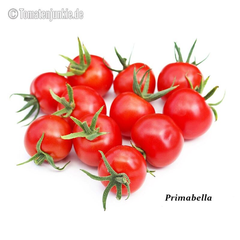 Tomatensorte Primabella