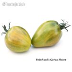 Tomatensorte Reinhards Green Heart