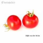 Tomatensorte Süße von der Krim