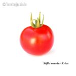 Tomatensorte Süße von der Krim