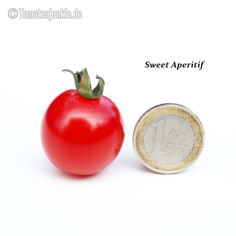 Tomatensorte Sweet Aperitif