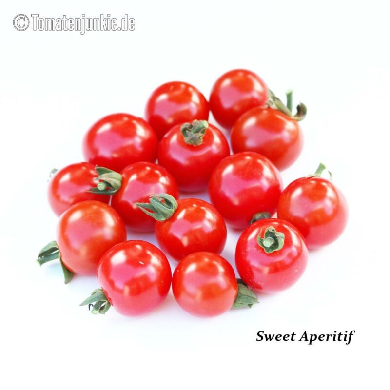 Tomatensorte Sweet Aperitif