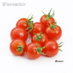 Tomatensorte Besser
