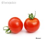 Tomatensorte Besser