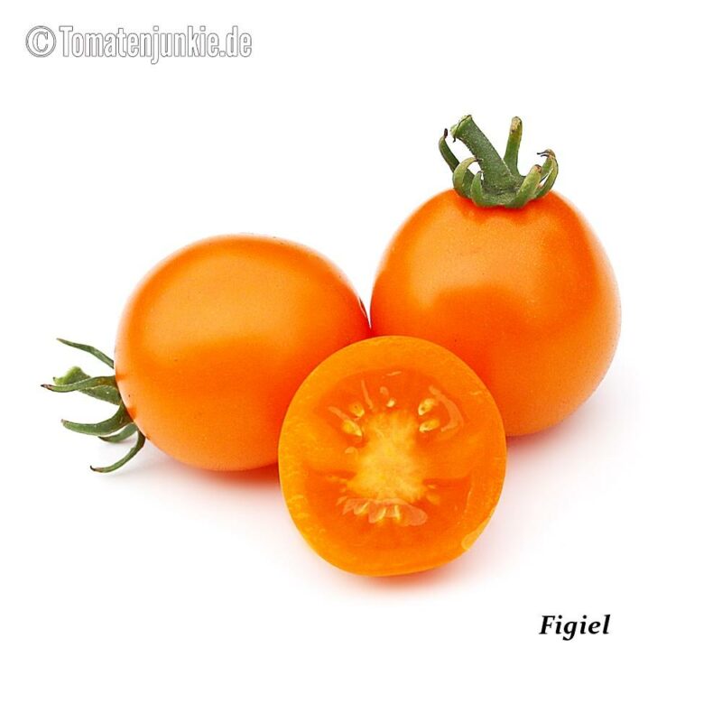 Tomatensorte Figiel