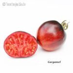 Tomatensorte Gargamel