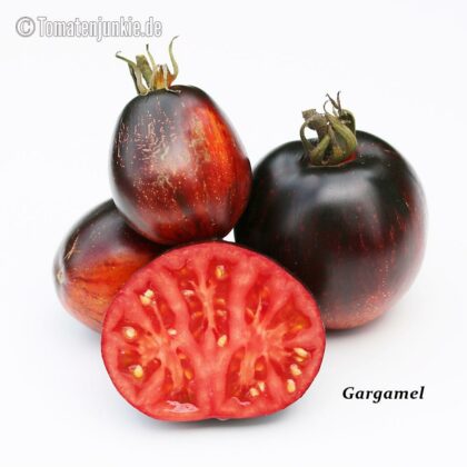 Tomatensorte Gargamel