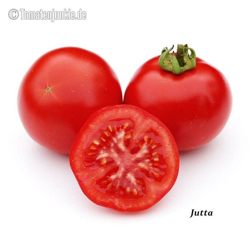 Tomatensorte Jutta