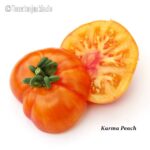 Tomatensorte Karma Peach