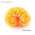 Tomatensorte Karma Peach