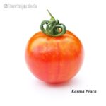 Tomatensorte Karma Peach