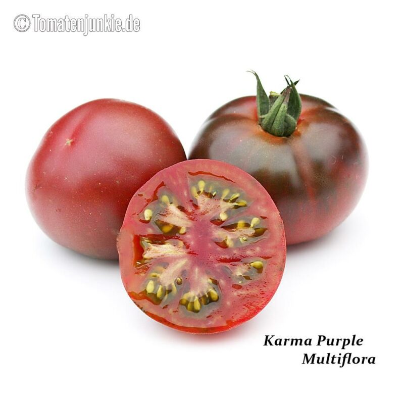 Tomatensorte Karma Purple Multiflora
