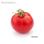 Tomatensorte Katrina
