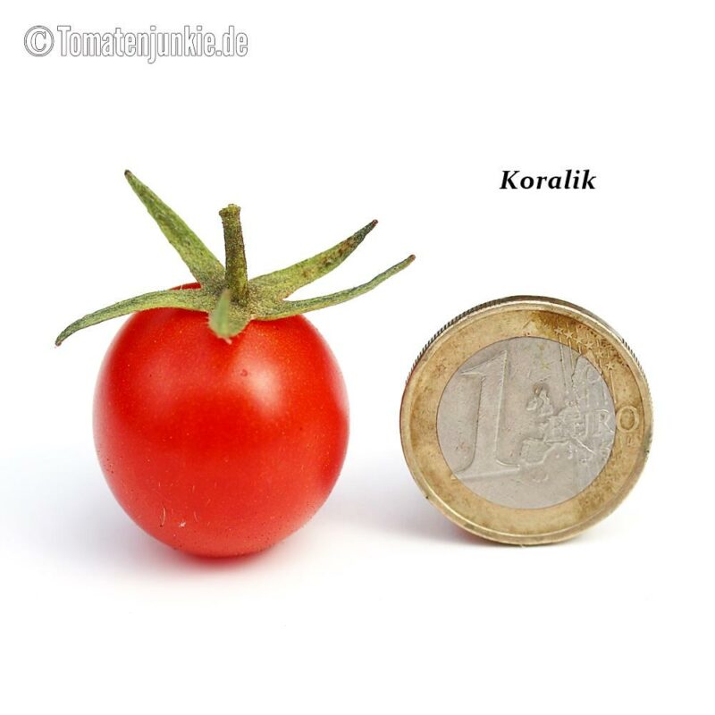 Tomatensorte Koralik