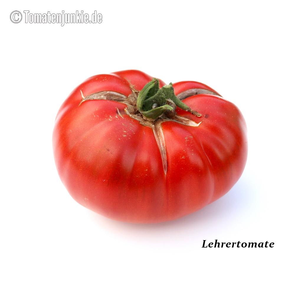 Tomatensorte Lehrertomate