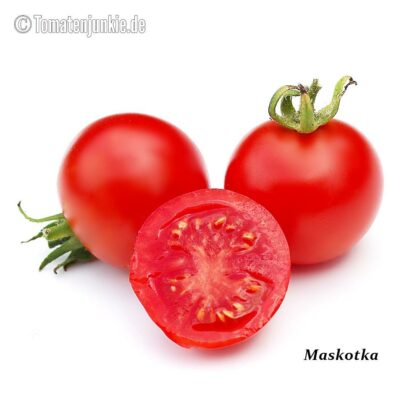 Tomatensorte Maskotka