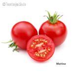 Tomatensorte Matina
