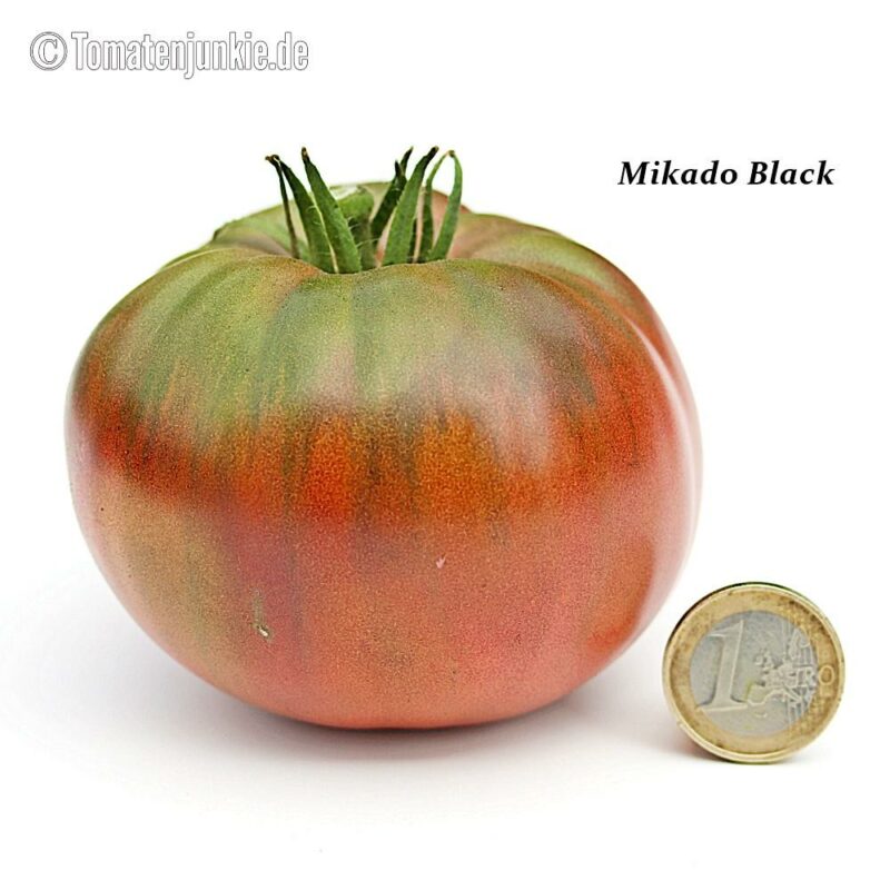 Tomatensorte Mikado Black
