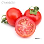 Tomatensorte Renate