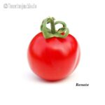 Tomatensorte Renate