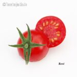 Tomatensorte Resi