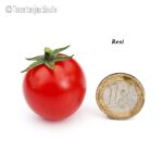Tomatensorte Resi