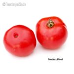 Tomatensorte Sashas Altai