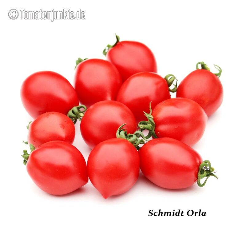 Tomatensorte Schmidt Orla