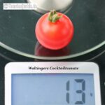 Tomatensorte Waltingers Cocktailtomate