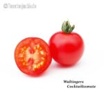 Tomatensorte Waltingers Cocktailtomate