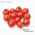 Tomatensorte Waltingers Cocktailtomate