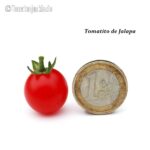 Tomatensorte Tomatito de Jalapa