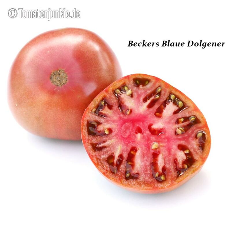 Tomatensorte Beckers Blaue Dolgener