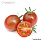 Tomatensorte Cappuccino