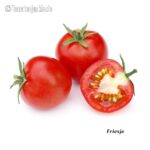 Tomatensorte Friesje
