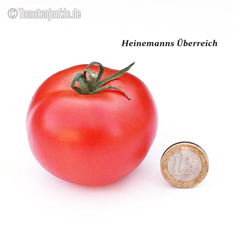 Tomatensorte Heinemanns Überreich