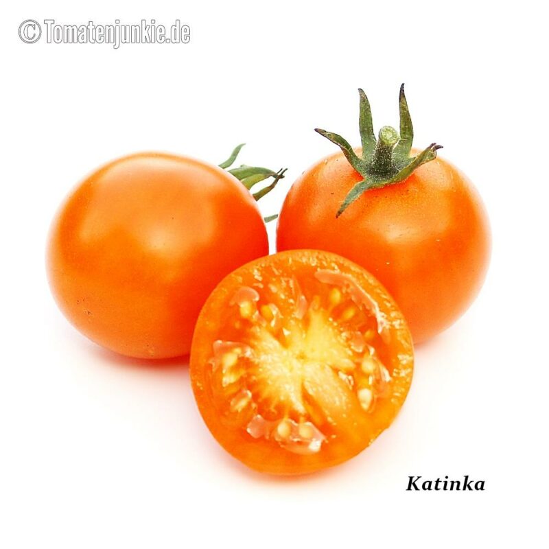 Tomatensorte Katinka