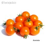 Tomatensorte Katinka