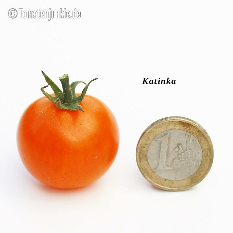 Tomatensorte Katinka