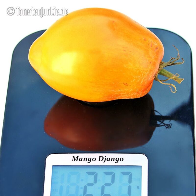 Tomatensorte Mango Django