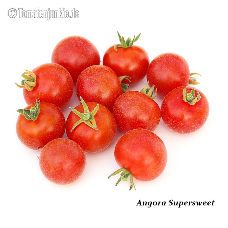 Tomatensorte Angora Supersweet